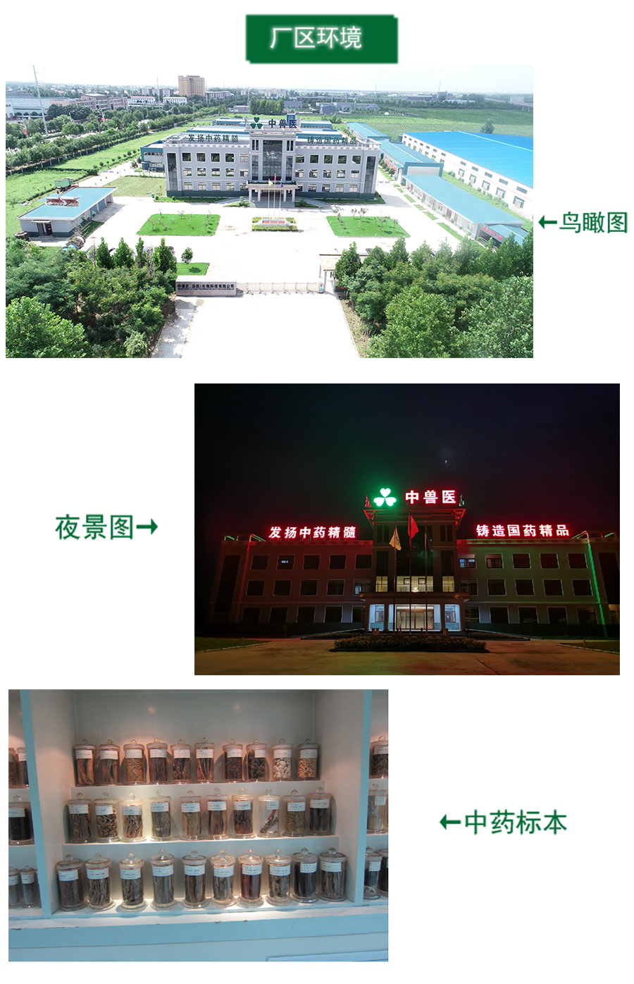 養(yǎng)豬大會_03.jpg