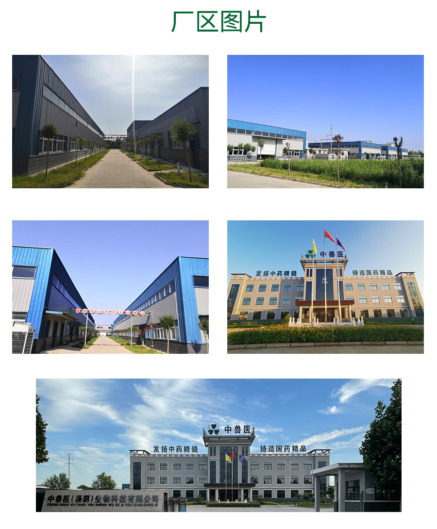2021濟(jì)南會(huì)展_04.jpg